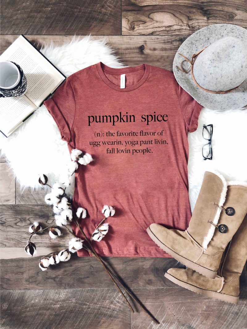 Pumpkin spice definition Short sleeve fall tee Bella Canvas 3001 heather rust